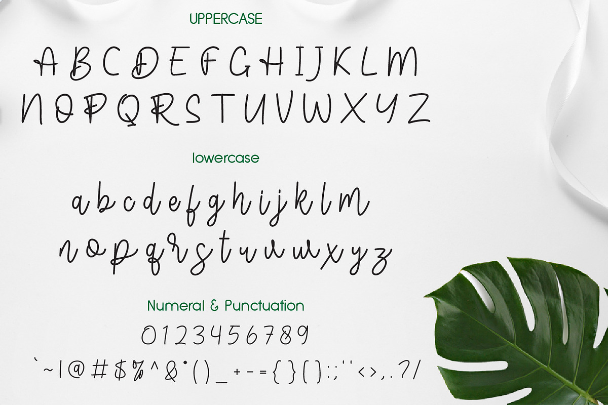 Sangers Signature, a Script Font by adelaide (Photo 2 of 4)