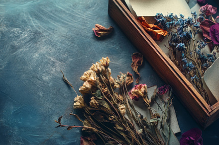Wooden box filled with dried flowers on gray textured surface., an Abstract Photo by Natalia Klenova's Shop