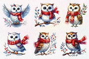 Christmas Owl Clipart PNG, an Illustration by Dream Creation (Thumbnail 7 of 7)