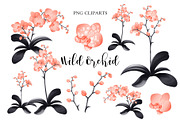 Orchid Clipart Design, a Graphic by NKTN graphics (Thumbnail 2 of 5)