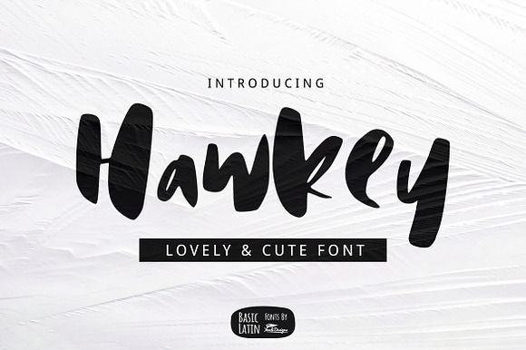 Hawkey Brush Font preview 6