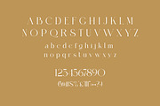 Zerellin | Elegant Modern Serif Type, a Serif Font by Artdez (Thumbnail 5 of 5)