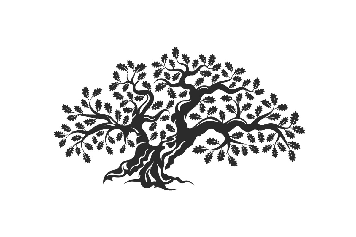 Isolated vector oak tree illustratio, an Object Illustration by provector