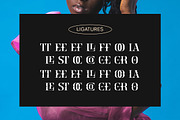 Crainzel - Display Serif Font, a Serif Font by Letterhend Studio (Thumbnail 8 of 9)