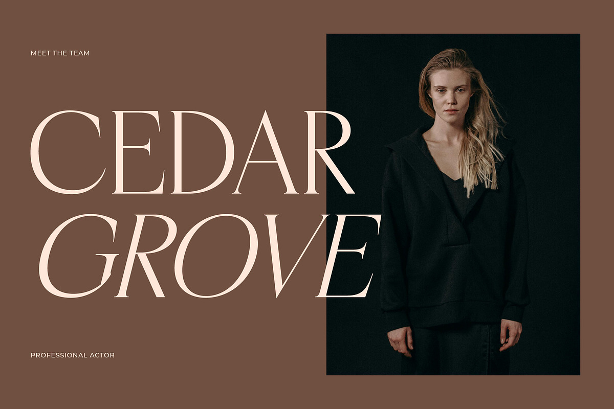 Casselin Modern Serif Font, a Serif Font by Letterena Studios (Photo 4 of 15)