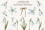 Snowdrops Hand Drawn Clipart, a Seasonal Illustration by BarvArt (Thumbnail 2 of 5)