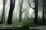 Magic woodland-SUMMER for Lightroom, an Action Add-On by khoroshkov (Thumbnail 1 of 5)