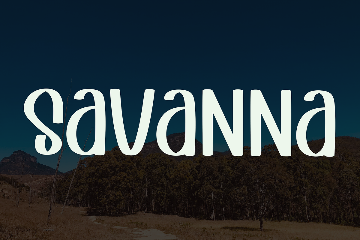 Barney, a Serif Font by FreshTypeINK (Photo 7 of 7)