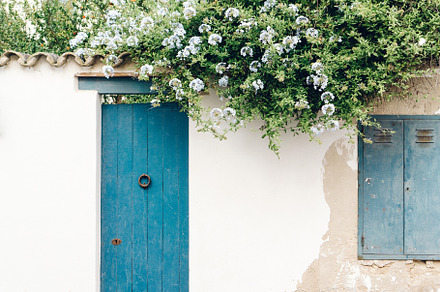 House white facade wall with flowers, an Architecture Photo by PixaSquare
