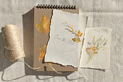 Autumn sentiment - vector clipart, a Decorative Illustration by Vasmila (Thumbnail 13 of 14)