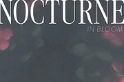 Nocturne in Bloom Floral Backgrounds, a Background Graphic by Dina Mae (Thumbnail 4 of 10)