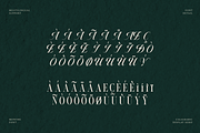 Monthe Calligraphy Serif Font, a Handwritten Font by Rasio Studio (Thumbnail 3 of 11)
