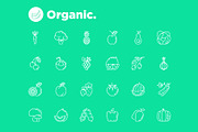 Organic | 25 Thin Line Icons, an Outline Icon by Alex Blogoodf (Thumbnail 6 of 15)