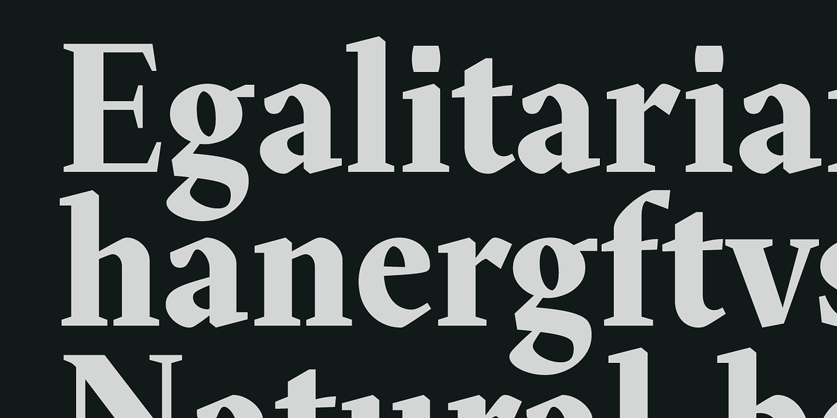 Blizka, a Serif Font by YXType (Photo 8 of 13)