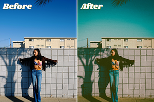 70s Retro Film Lightroom Presets