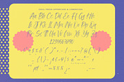 Chill Fresh Modern Handwritten Font, a Script Font by stylishtype.co (Thumbnail 15 of 15)