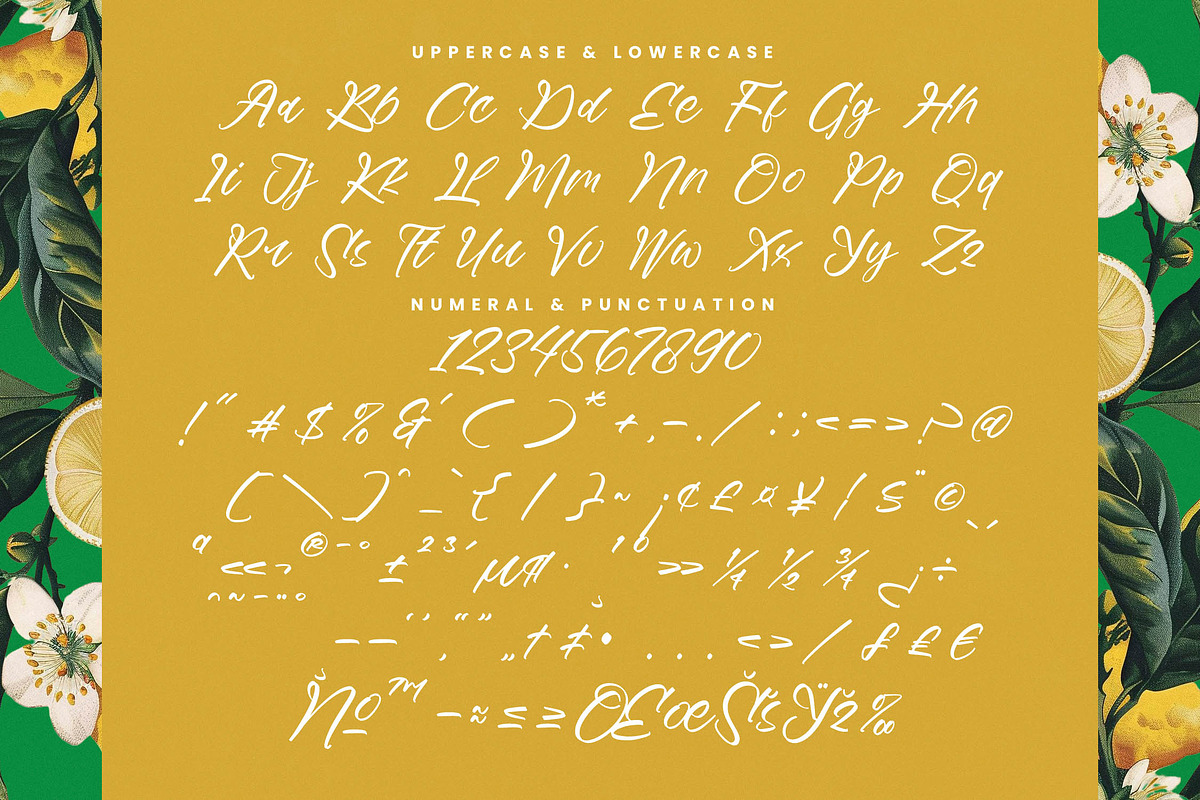 Mindful Angelic Modern Elegant Font, a Script Font by stylishtype.co (Photo 17 of 19)