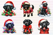 Funny Christmas ,Animal Christmas, an Illustration by CreationArt (Thumbnail 4 of 5)