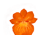 Autumn Aesthetic Sticker Pack, a Seasonal Illustration by Noorist (Thumbnail 24 of 68)