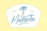 Shade Crush Bold Brush Font, a Script Font by stylishtype.co (Thumbnail 3 of 20)