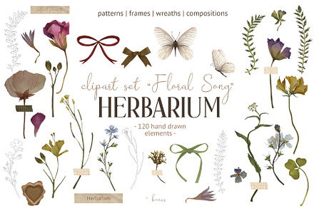 Floral song. Herbarium