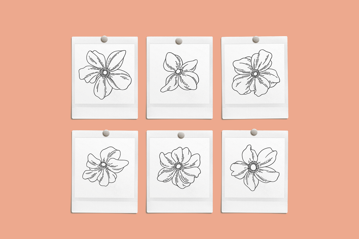 Floral Vector Illustrations, a Decorative Illustration by Emma Webb Studio (Photo 2 of 5)