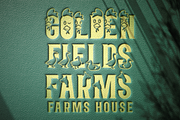 Nora Fields - Farmer Display Font, a Font by PutraCetol Studio (Thumbnail 4 of 11)