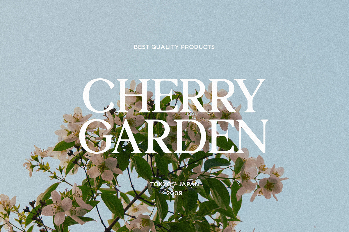 Euphoria - Modern & Round Serif, a Serif Font by Schrifted Type (Photo 3 of 8)