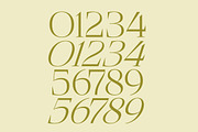Bigest Karath Thin Serif Display, a Serif Font by timelesstype.co (Thumbnail 13 of 20)
