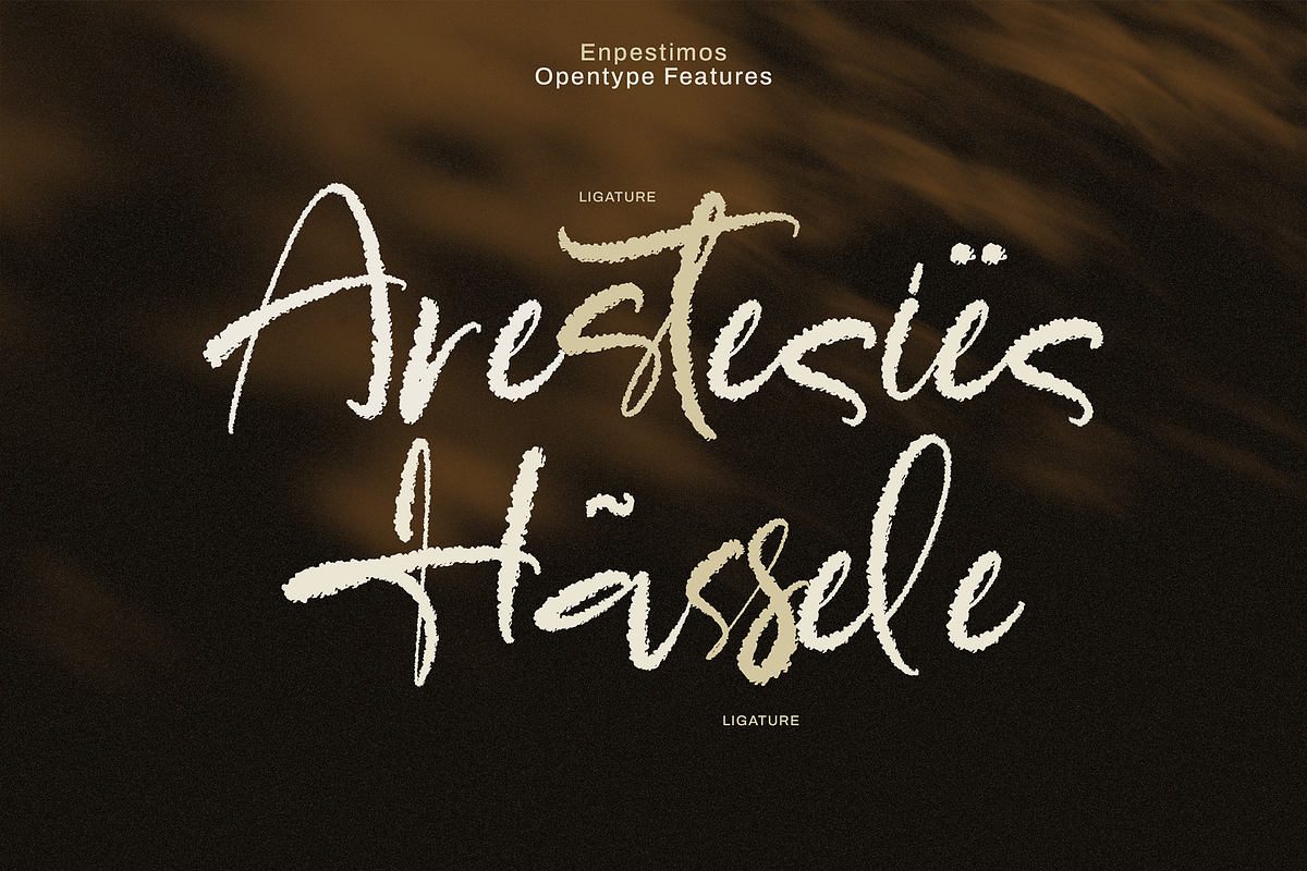 Enpestimos is an expressive handwrit, a Handwritten Font by MJB Letters (Photo 9 of 10)