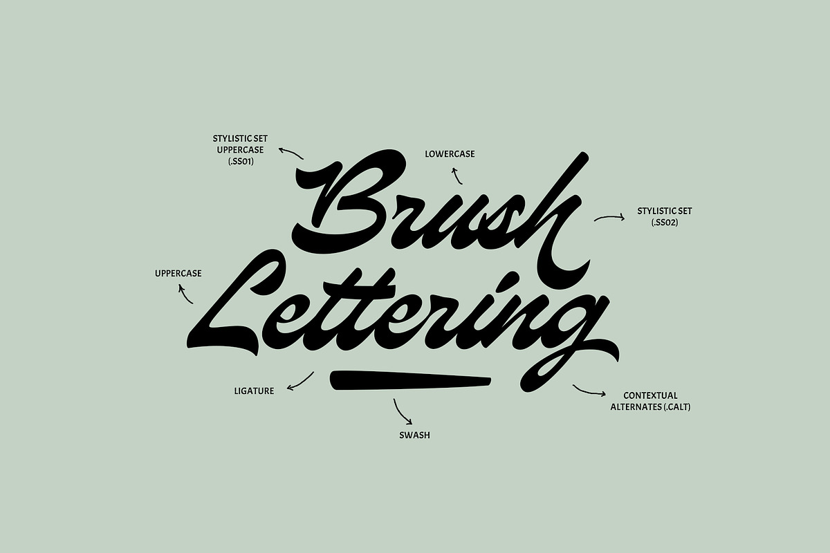 ED Medimont - Brush Script font, a Script Font by Emyself Design (Photo 3 of 12)