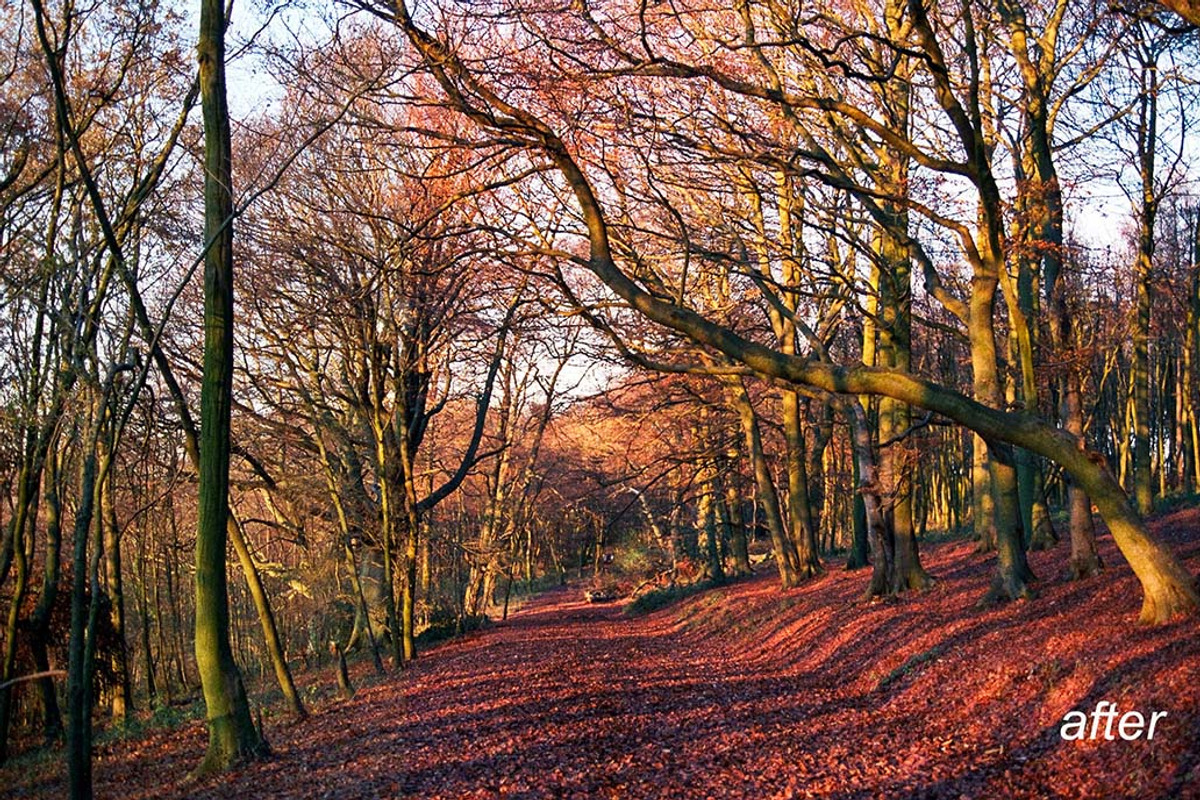 9 Landscape Color Explosion Presets, a Preset Add-On by Timeless Presets (Photo 4 of 12)