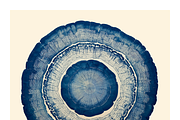 Natt Collection · Organic Tree Rings, a Texture Illustration by milatovar (Thumbnail 16 of 19)