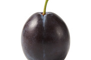 All Fruits Bundle Master Collection, a Food & Drink Photo by FlyeredTemplate (Thumbnail 109 of 130)