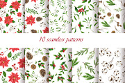 Christmas plant collection, an Illustration by Watercolor & sketches (Thumbnail 6 of 9)