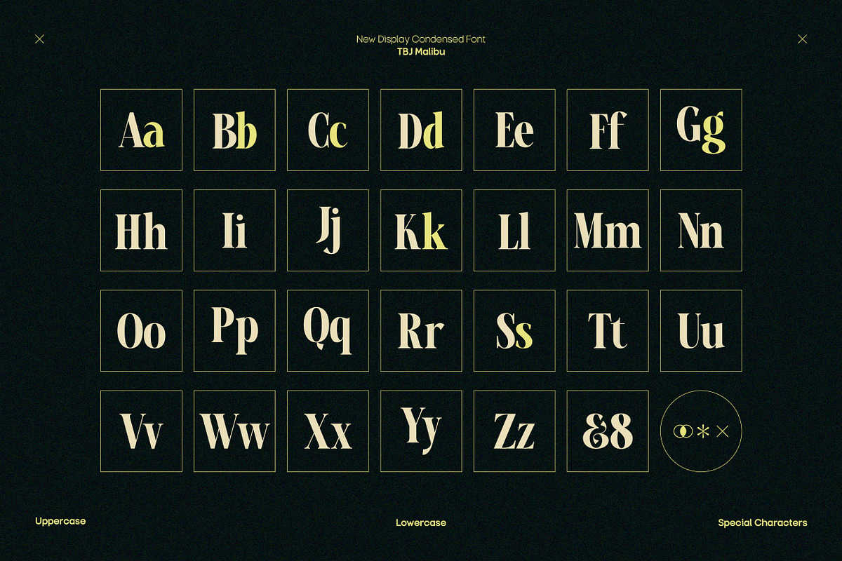 TBJ Malibu Condensed Display Font, a Serif Font by Taboja Studio (Photo 2 of 22)