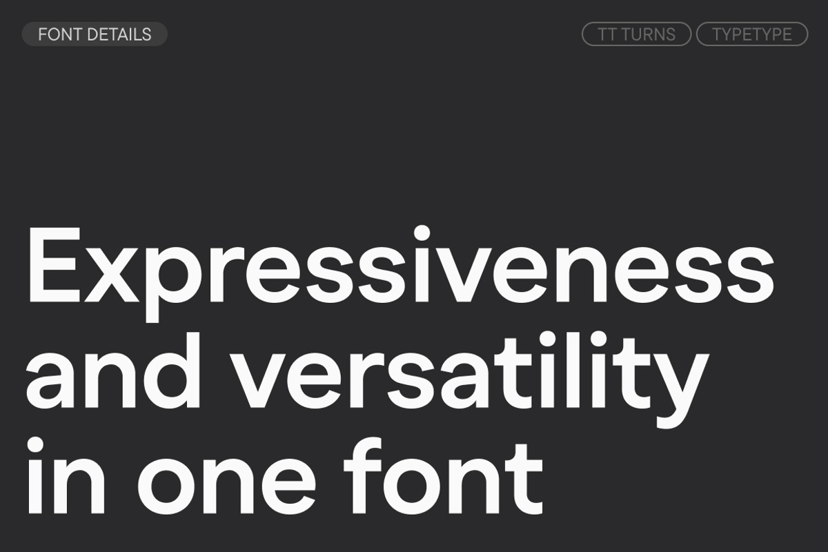TT Turns, a Sans Serif Font by TypeType (Photo 3 of 26)