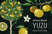 Yuzu - Citrus Fruit and Patterns, a Food Illustration by Yevheniia (Thumbnail 1 of 12)
