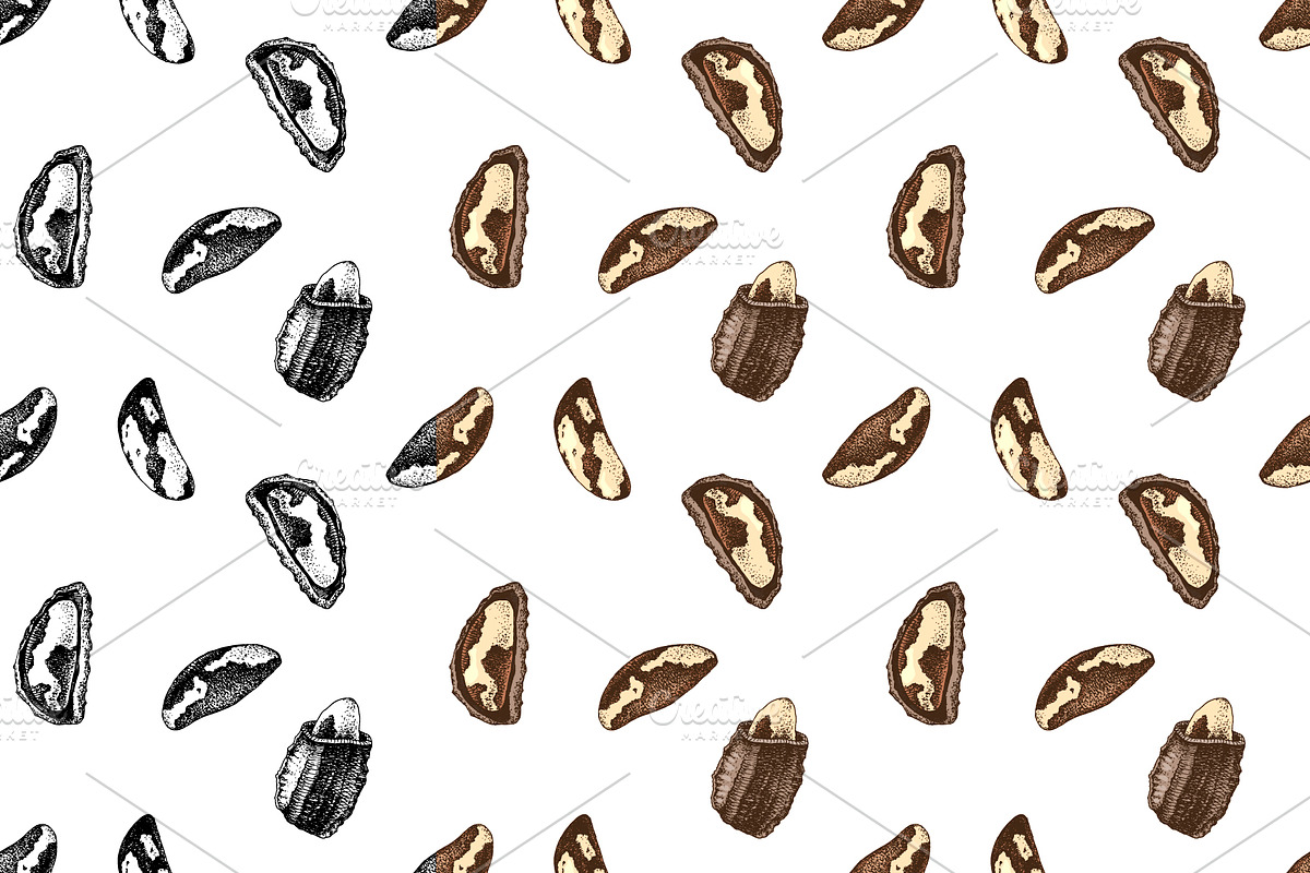 Hard nut graphic design set, a Food Illustration by handsketched (Photo 16 of 18)
