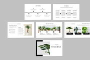 House Plant Presentation, a Presentation Template by Recreative (Thumbnail 3 of 6)