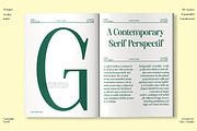 Axerifa Variable, a Serif Font by Slex Studio (Thumbnail 11 of 12)