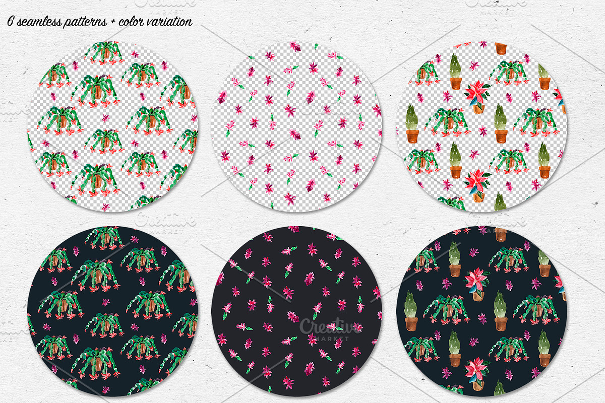 Watercolor Thanksgiving cactus, an Illustration by Belusuab (Photo 9 of 14)