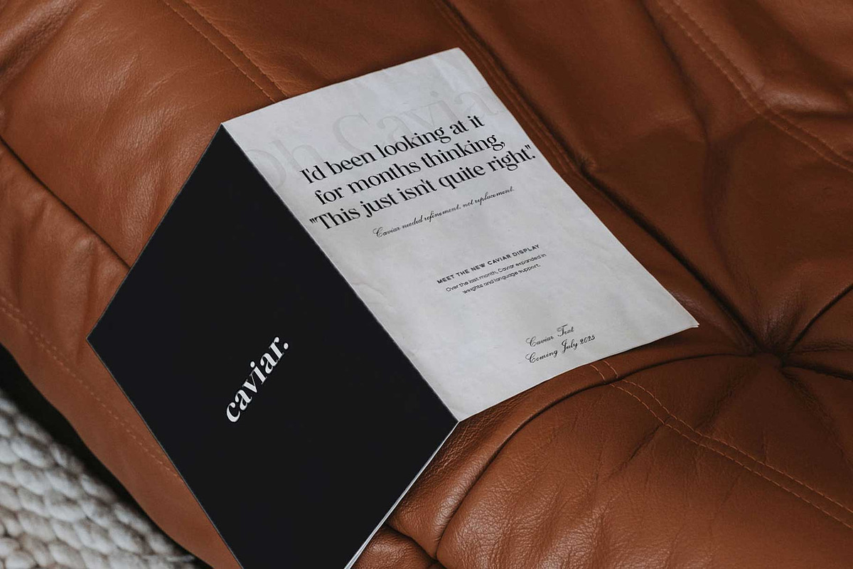 Caviar Luxury Editorial Serif, a Serif Font by Blanc Salváge (Photo 5 of 9)