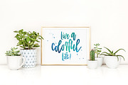 Academy House + Logos, a Script Font by Flycatcher Design (Thumbnail 8 of 9)