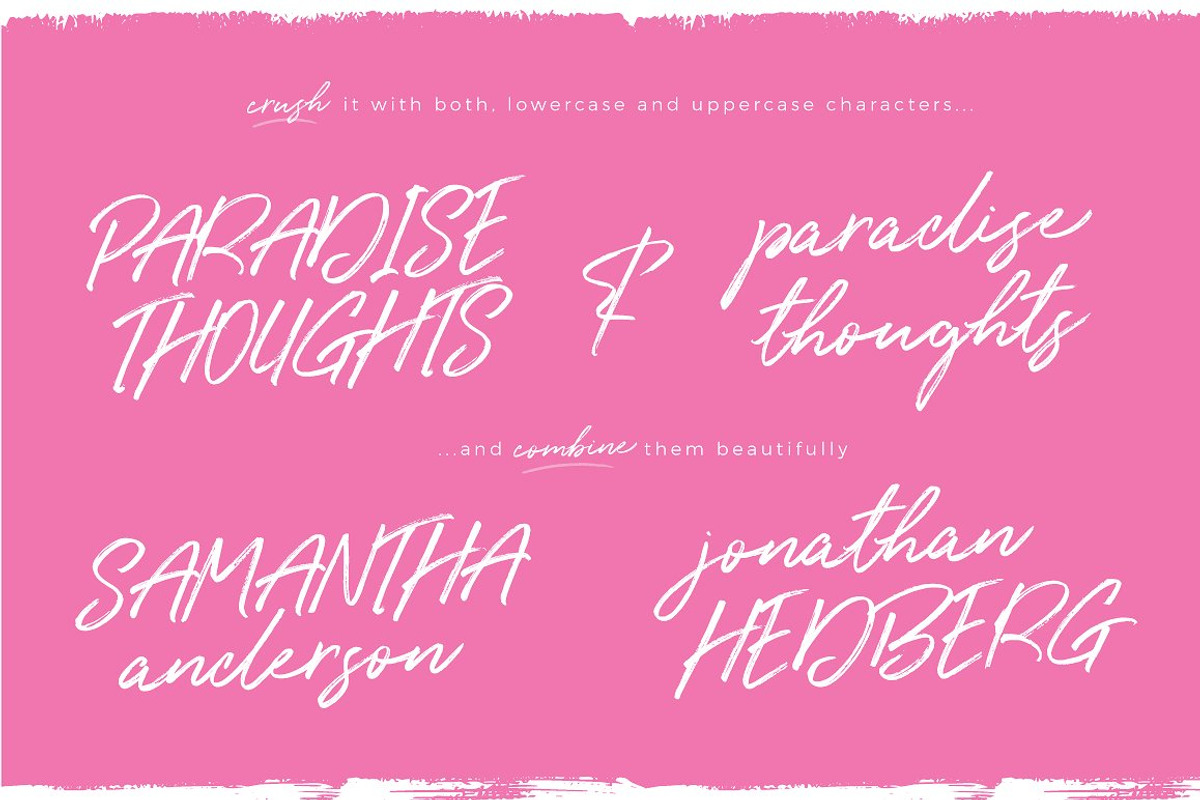 Typographer's Dream Box + 200 Logos, a Script Font by Mats-Peter Forss (Photo 60 of 130)