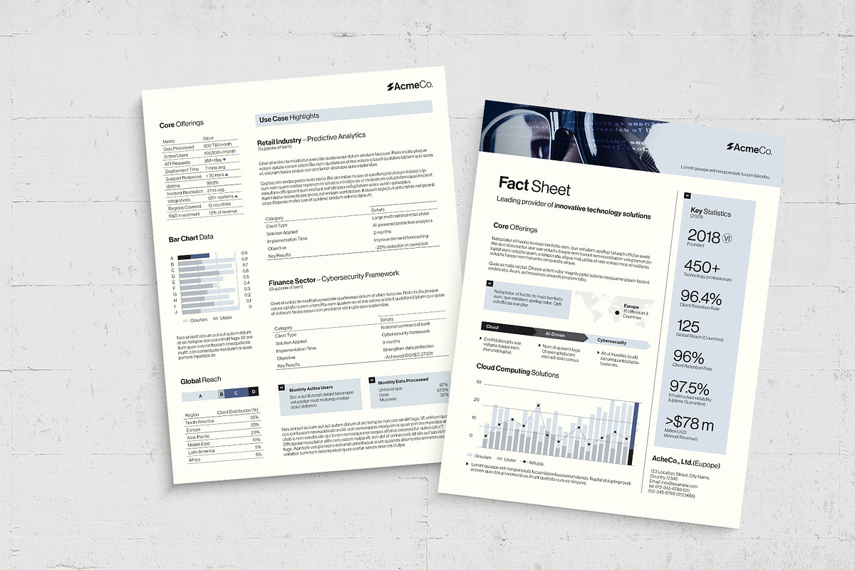 Fact Sheet Template, a Flyer Template by BrandPacks