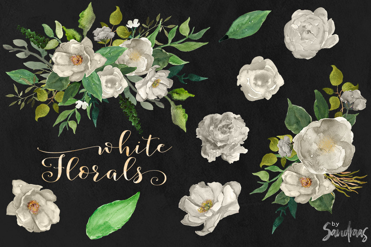 White flowers clip art, hand painted, an Illustration by SandraGraphicDesign (Photo 2 of 4)
