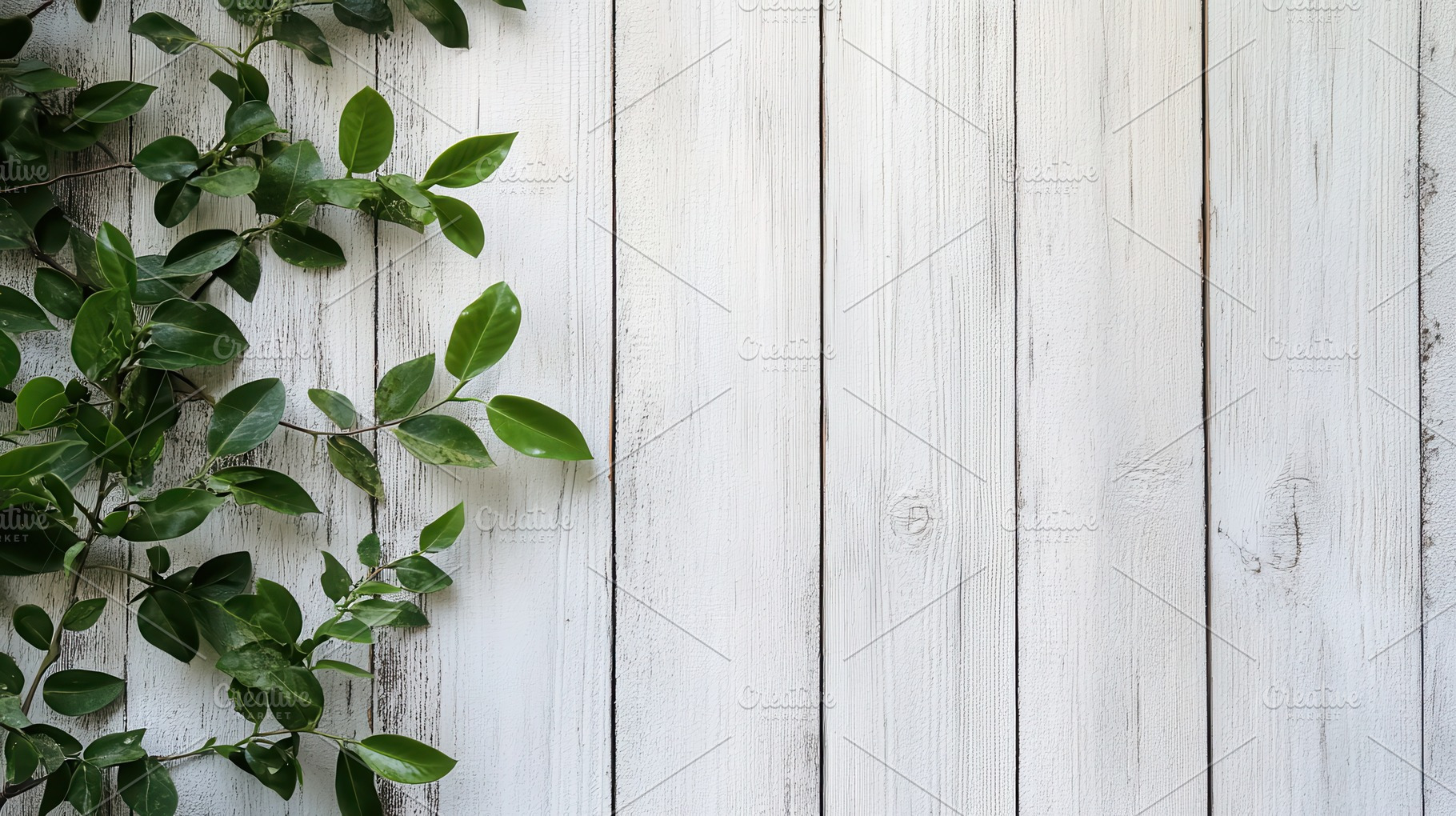 Lush Green Leaves on White Wooden Ba, a Photo by Pixeness Studio