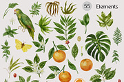 Vintage Botanical clipart, an Object Graphic by mila_leev (Thumbnail 2 of 8)