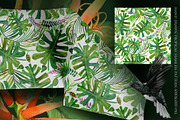 Watercolor Tropical plant & Bird, an Object Graphic by FineArt (Thumbnail 20 of 22)